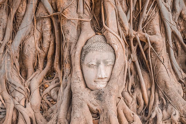 Buddhism Roots